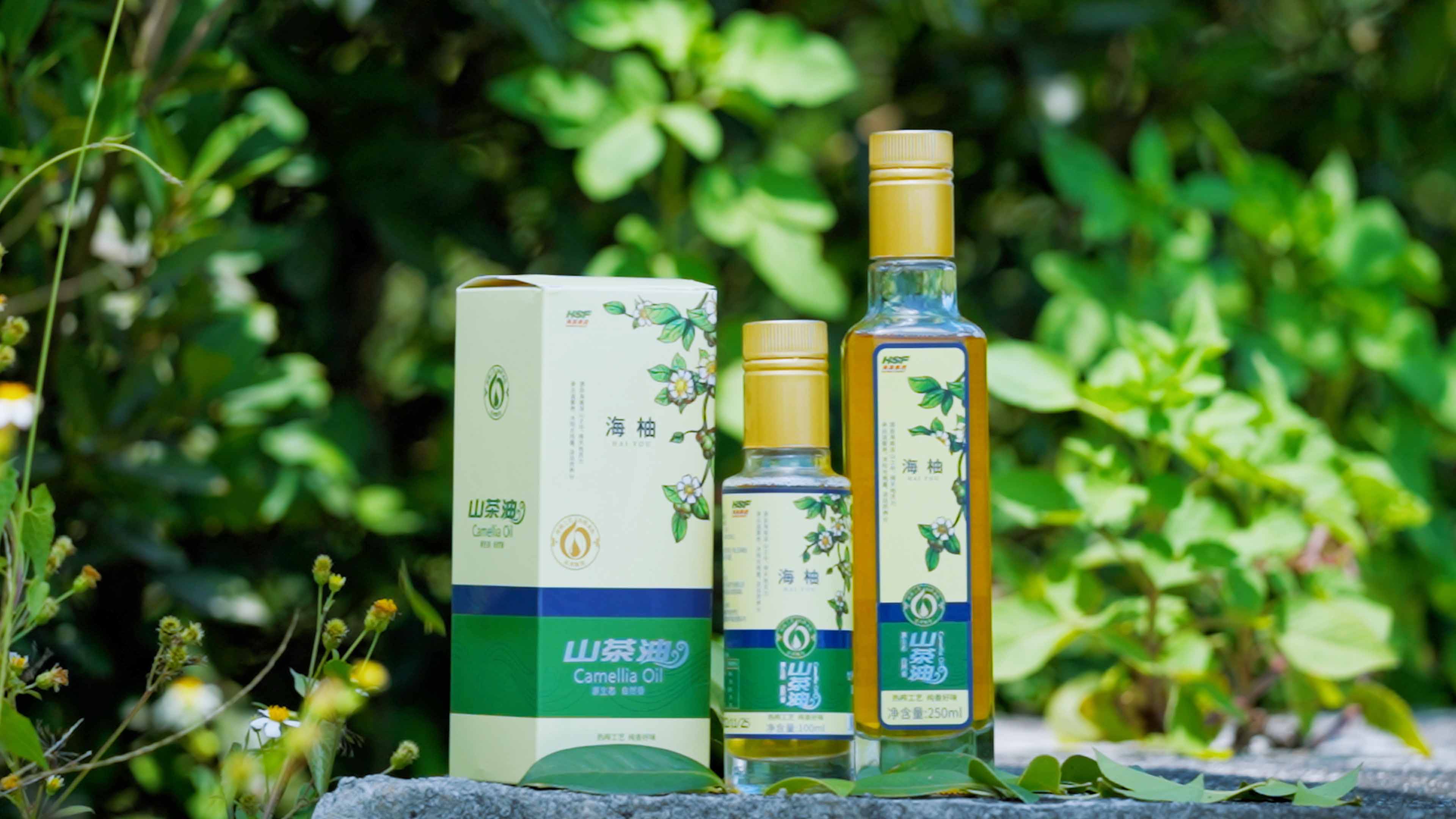 尊龙人生就是博首页乐香山茶油