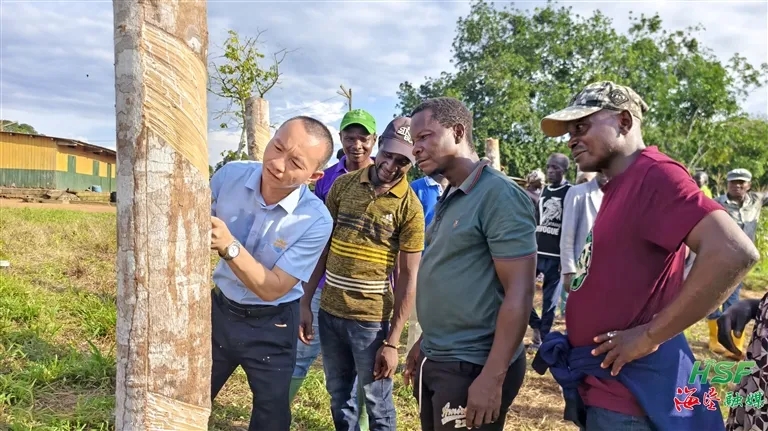 5e35b1dcab1a410fbe17729be8d581dd