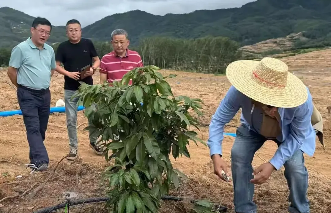 8af463531ace461b82358353d37b5e73