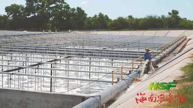 首页|尊龙人生就是博官网入口