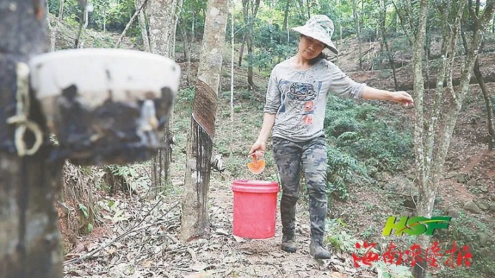 首页|尊龙人生就是博官网入口