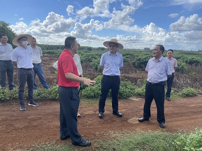 首页|尊龙人生就是博官网入口