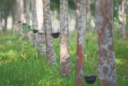 首页|尊龙人生就是博官网入口
