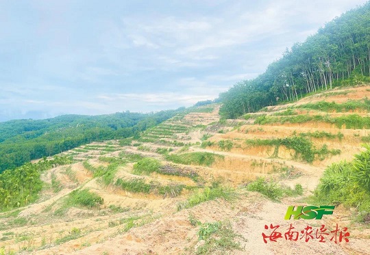 首页|尊龙人生就是博官网入口