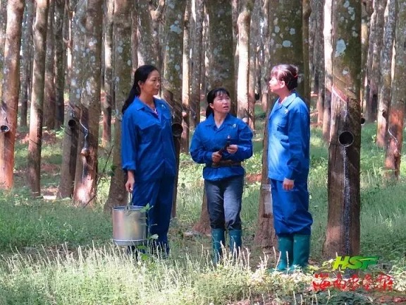 首页|尊龙人生就是博官网入口