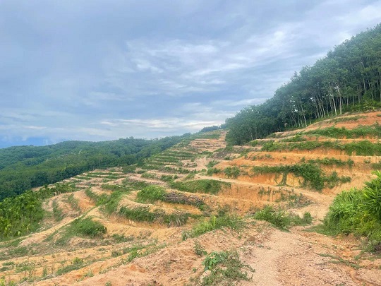 首页|尊龙人生就是博官网入口