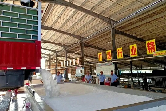 首页|尊龙人生就是博官网入口