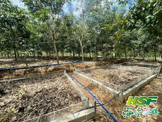 首页|尊龙人生就是博官网入口