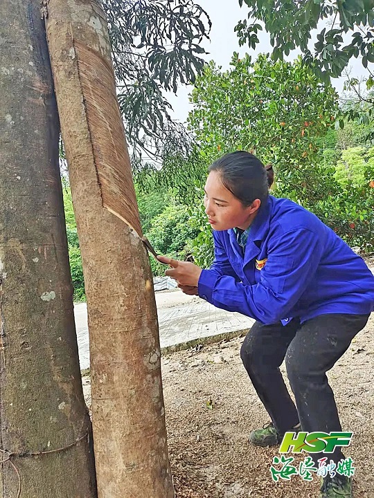 首页|尊龙人生就是博官网入口