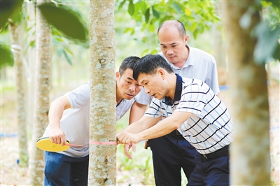 首页|尊龙人生就是博官网入口