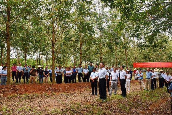 首页|尊龙人生就是博官网入口