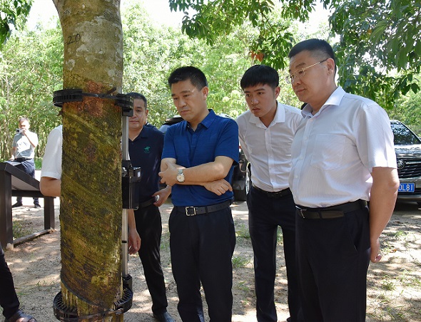 首页|尊龙人生就是博官网入口