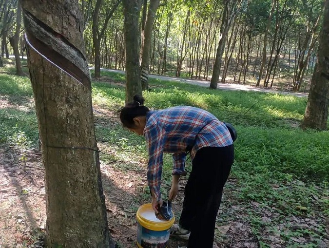 首页|尊龙人生就是博官网入口