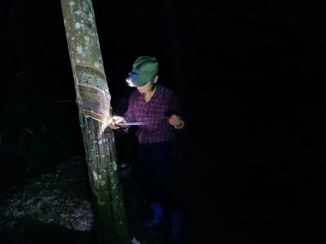 首页|尊龙人生就是博官网入口