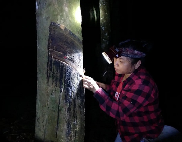 首页|尊龙人生就是博官网入口