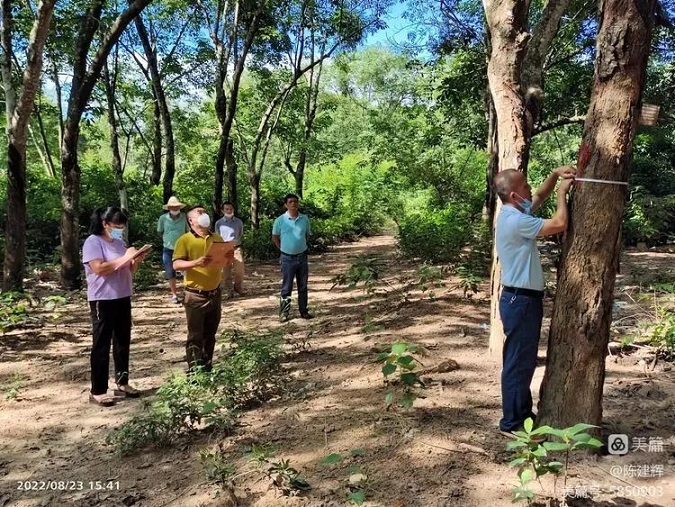 首页|尊龙人生就是博官网入口