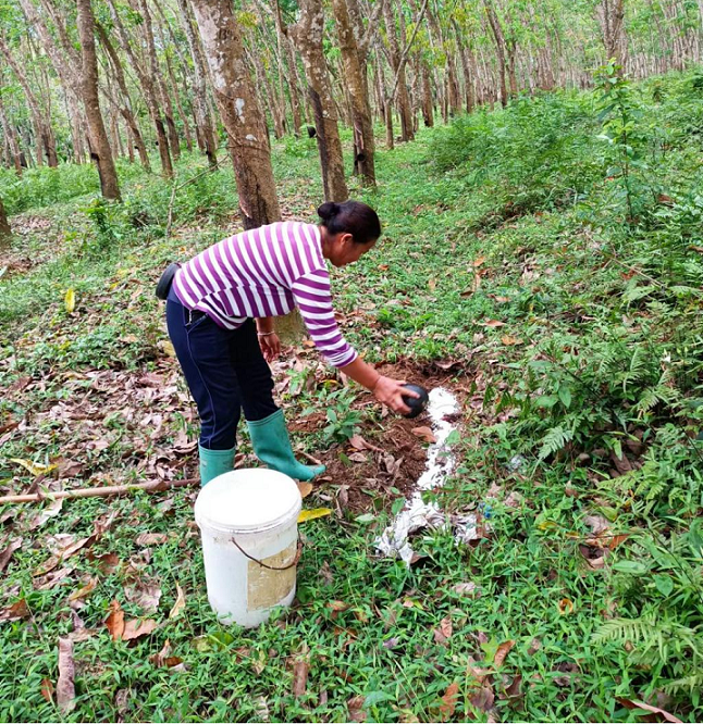 首页|尊龙人生就是博官网入口