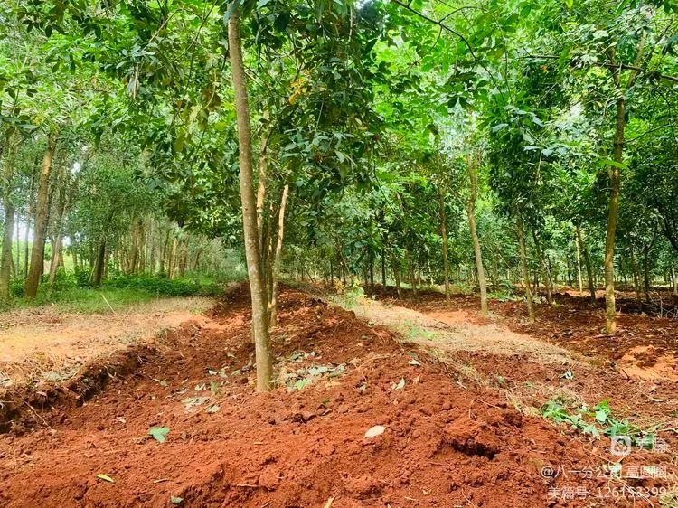 首页|尊龙人生就是博官网入口