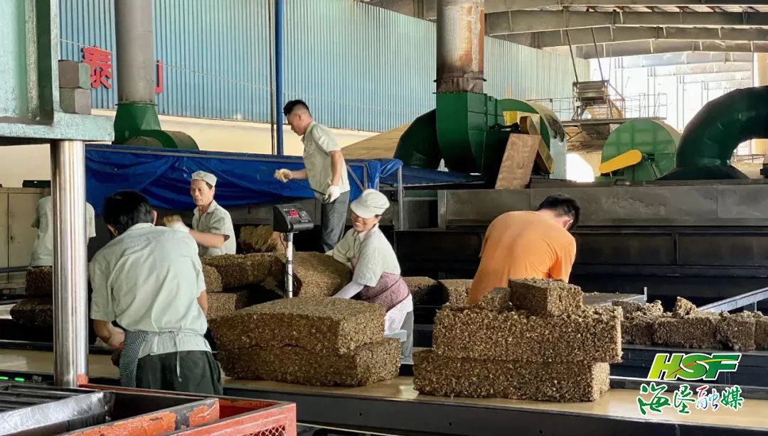 首页|尊龙人生就是博官网入口