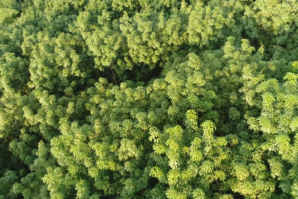 首页|尊龙人生就是博官网入口