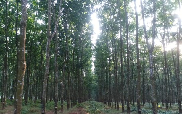 首页|尊龙人生就是博官网入口