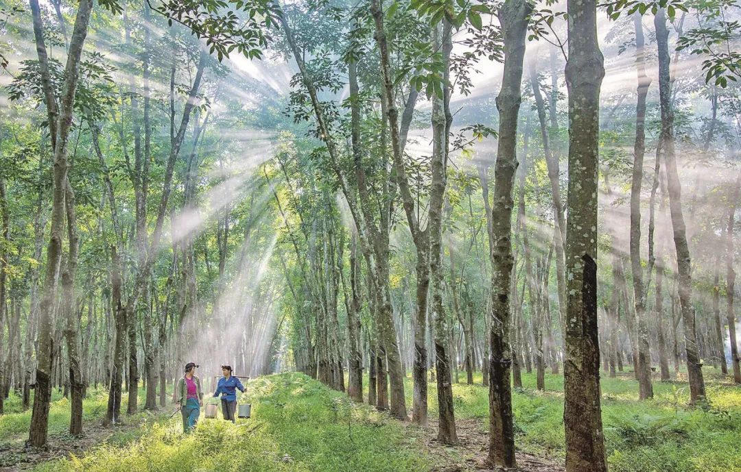 首页|尊龙人生就是博官网入口