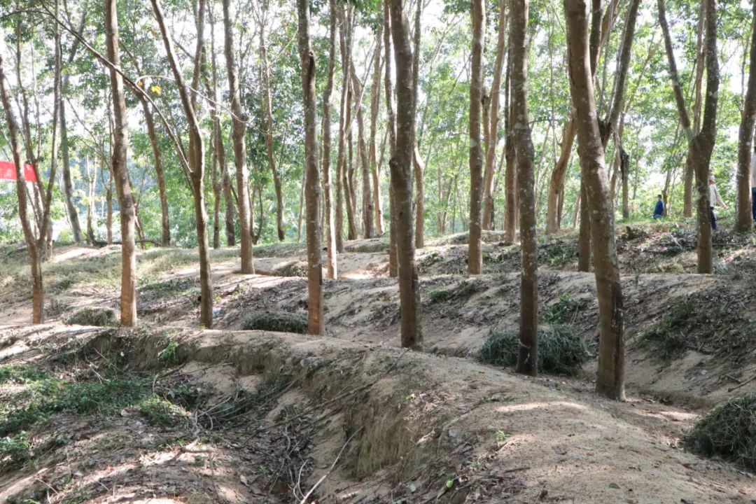 首页|尊龙人生就是博官网入口