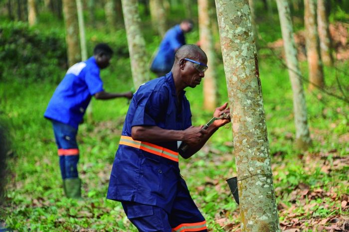 首页|尊龙人生就是博官网入口
